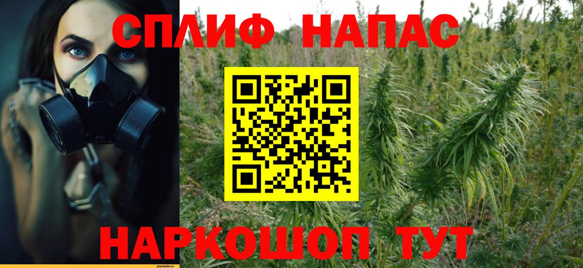 Псков  Шишки марихуана тримм  Вход с VPN  Конопля гибрид  Канабис тримм 